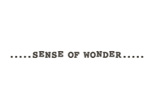 sense of wonder
